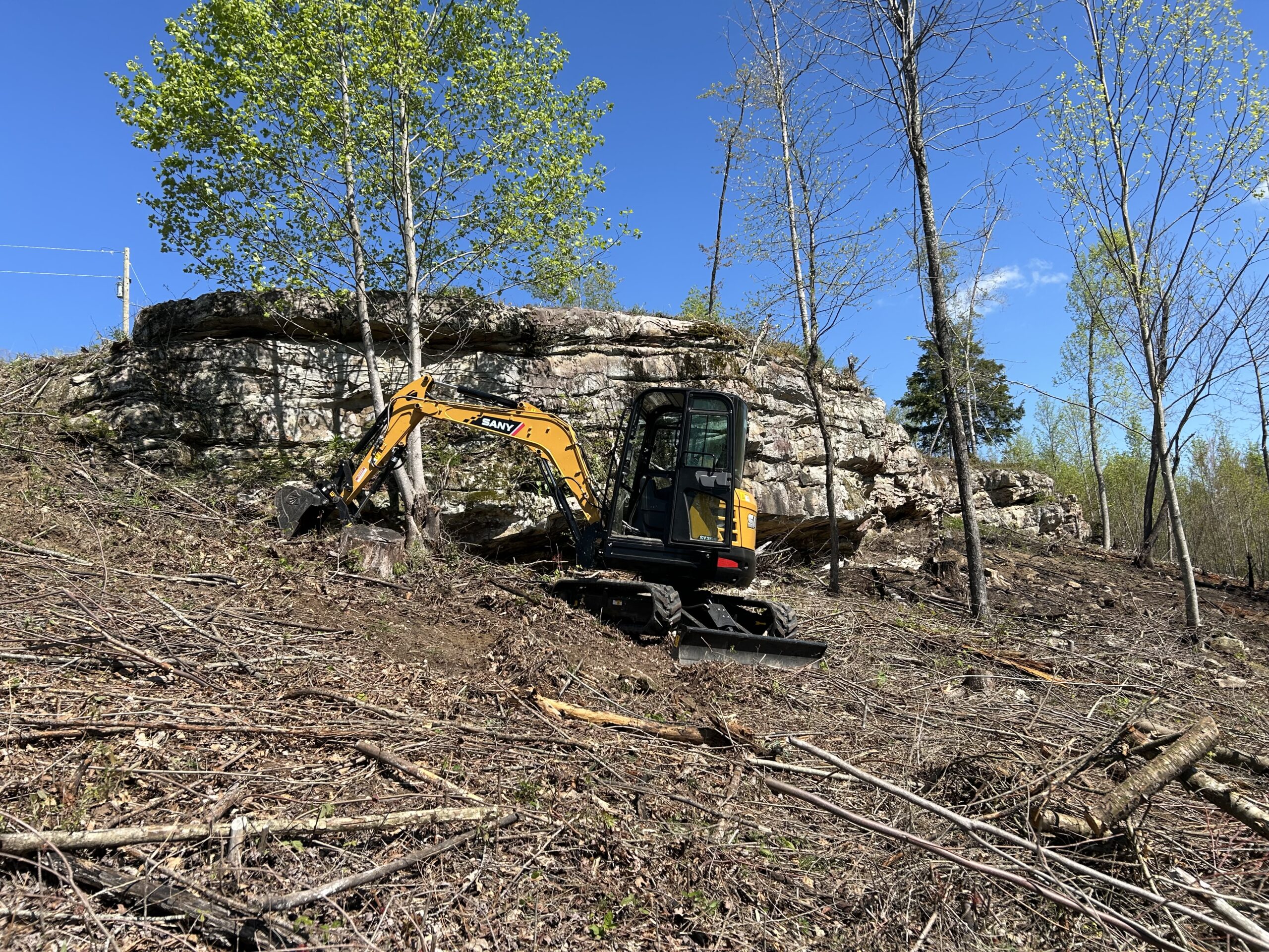 Excavator clearing brush and small trees