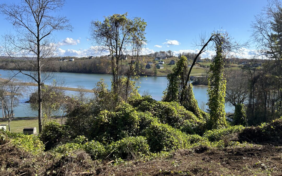 Why Tennessee Creek Banks Erode So Quickly (And How to Protect Your Land)