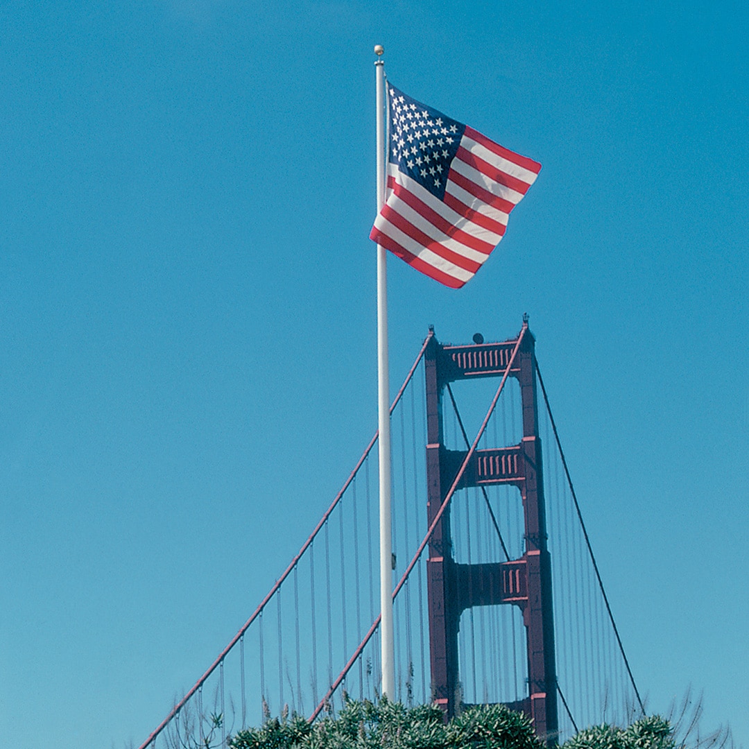 Excavator removing a tree stump on a land clearing site